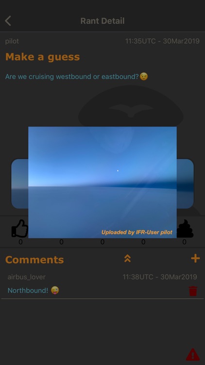 Inflight Rant screenshot-3