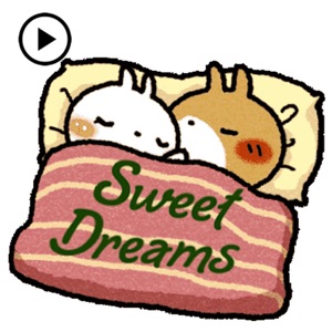 Animated Lovely Rabbit Couple download