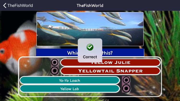 Fishes Identifying Games screenshot-6