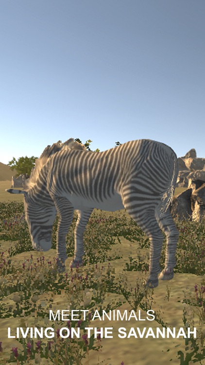 Explain 3D: African animals screenshot-3