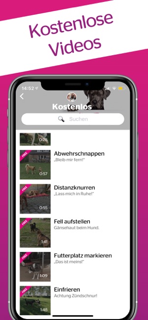 DogDict – Hundelehrvideos(圖6)-速報App