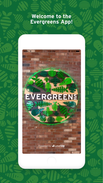 Evergreens Salad