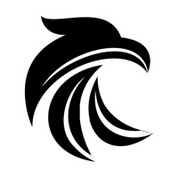 Falcon sur PC