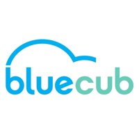 Bluecub app funktioniert nicht? Probleme und Störung