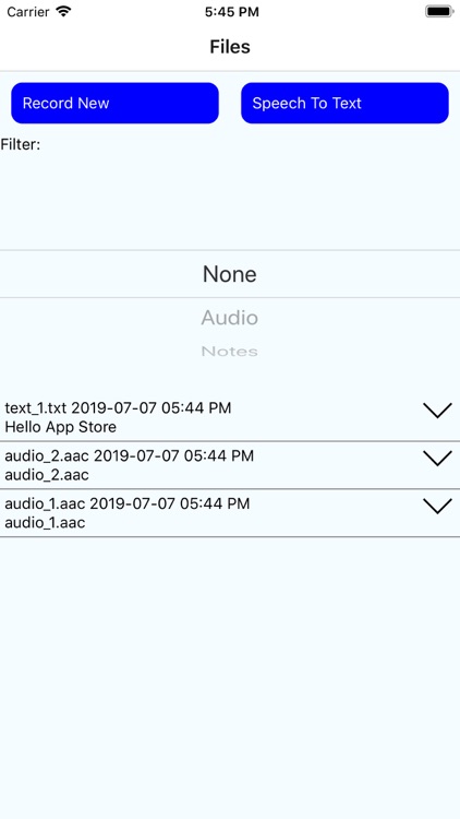 Audio Note Taker