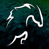 Horse Course sur PC