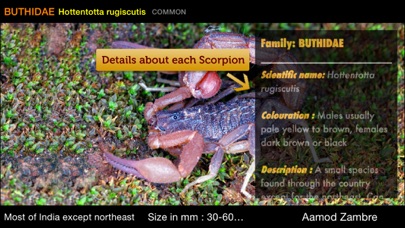 How to cancel & delete Indian Scorpions eGuide from iphone & ipad 3