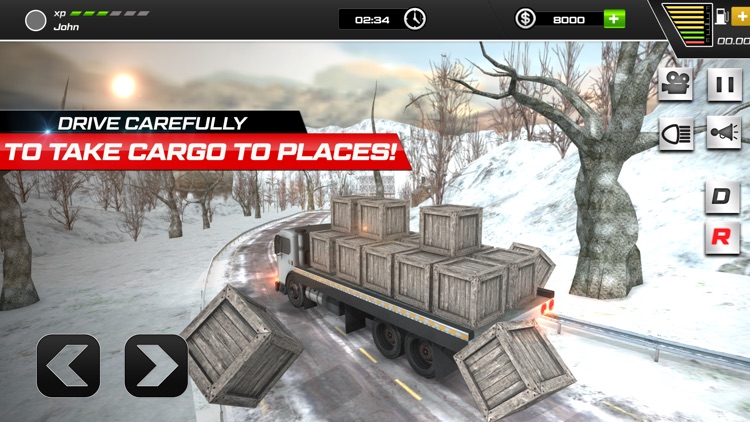 Cargo Dump Truck Driving Pro screenshot-3