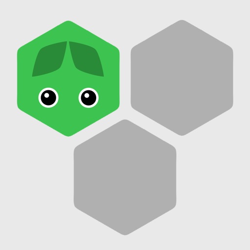 Hexa 1 Line iOS App