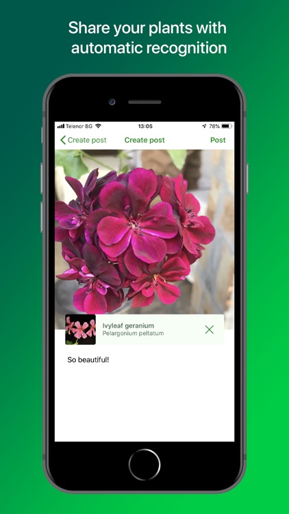 PlantSnap Pro: Identify Plants