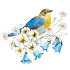 Top 43 Stickers Apps Like Animated Vintage Birds & FLoral Stickers - Best Alternatives