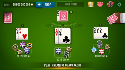 BLACKJACK 21 - Casino Vegas screenshot 2