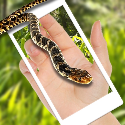 Snake On Screen Scary iOS App