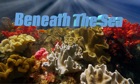 Top 39 Entertainment Apps Like Beneath The Sea 4K - Best Alternatives