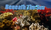 Beneath The Sea 4K apk