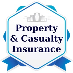 Property-Casualty Insurance