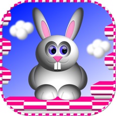 Activities of Bunny Hoppy