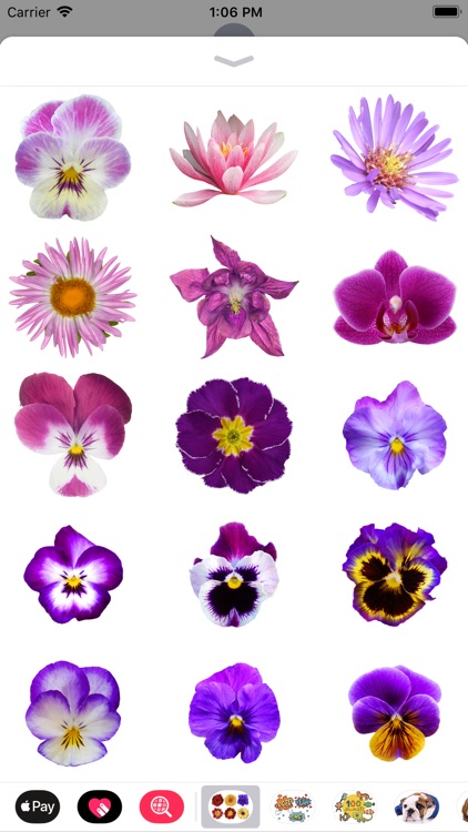 100+ Flower Stickers screenshot-4