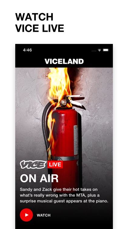 VICELAND