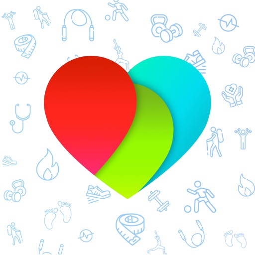 Health Auto Export to CSV