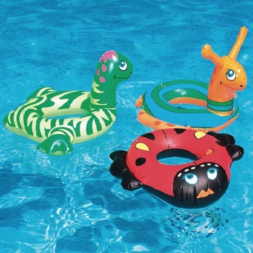Pool and Spa Toys Icon