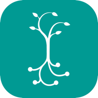 Carnegie Foundation Summit