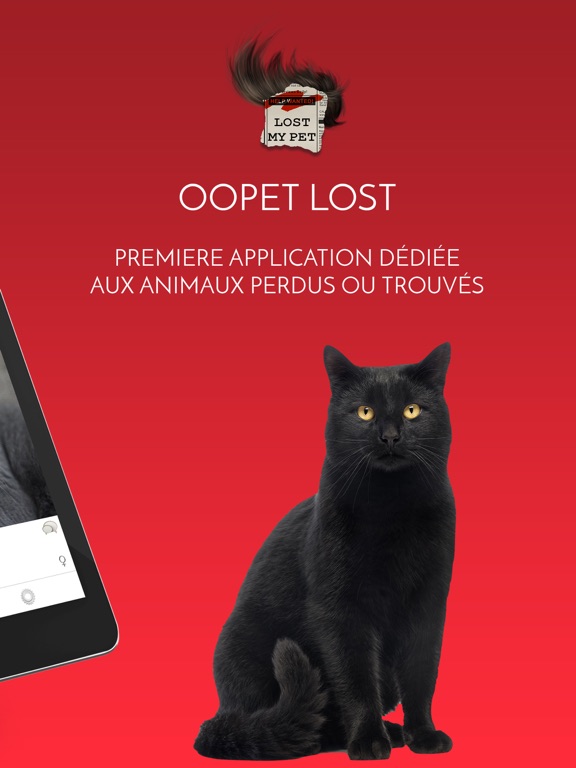 Screenshot #5 pour OOpet Lost