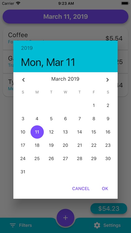 Daily Expense Tracker