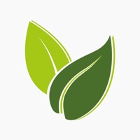 Il Pistacchio sur PC
