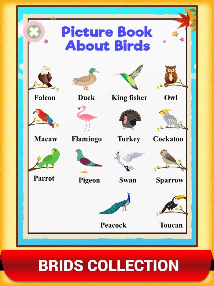 Kids Picture Dictionary Book