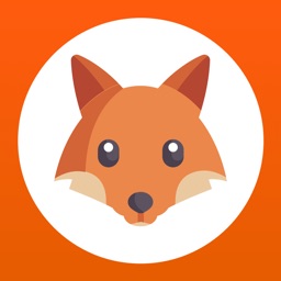 Fox Search - logic game