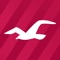 Hollister is all about creating carefree style designed to make all teens feel celebrated, confident & comfortable in their own skin
