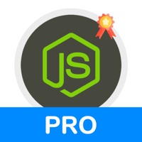 Learn Node.js Development PRO