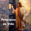 Curso Fe y doctrina