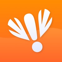 BusyFly на пк