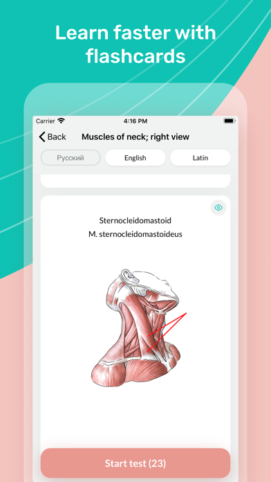 How to cancel & delete Easy Anatomy - Atlas & Quizzes from iphone & ipad 3