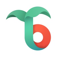 Tomate & Basilic pour PC