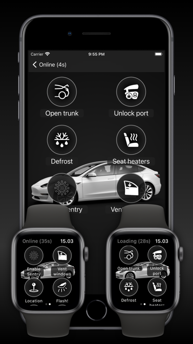 Watch app for Tesla Watch app for Tesla
