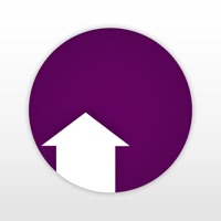 Big Purple Dot app funktioniert nicht? Probleme und Störung