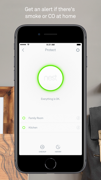 Nest Screenshot on iOS