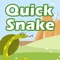 Quick Snake play Snake like It is 1997