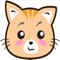 大家好~我是好玩的瓜米花猫~ 和我一起玩耍吧~~~