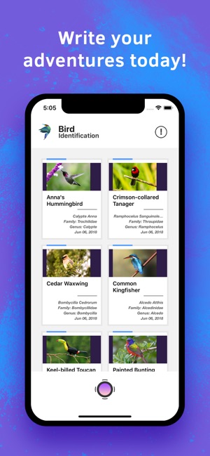 Bird Identification(圖3)-速報App