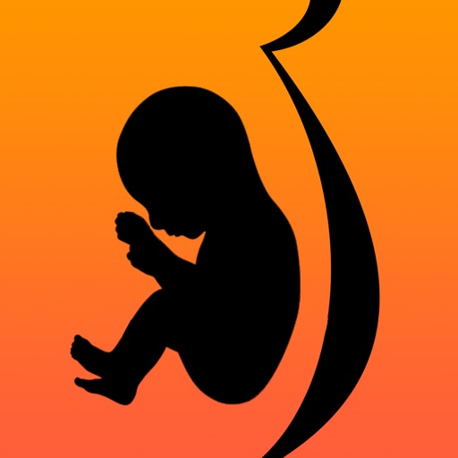 Pregnant Eating iOS App