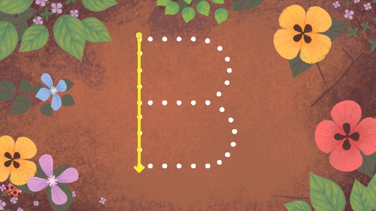 Letter Meadow
