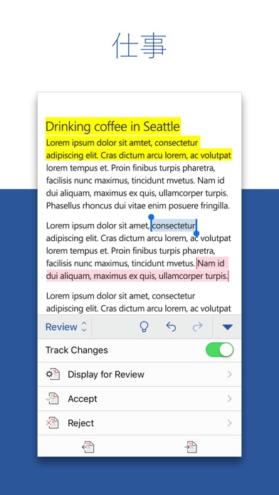 Microsoft Word screenshot1