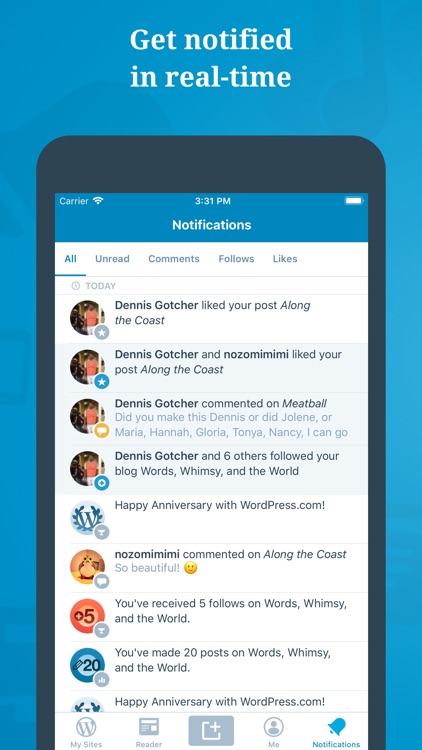 WordPress screenshot-4
