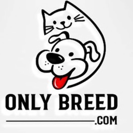 onlybreed.com icon