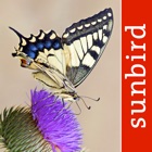 Top 46 Reference Apps Like Butterfly Id - UK Field Guide - Best Alternatives
