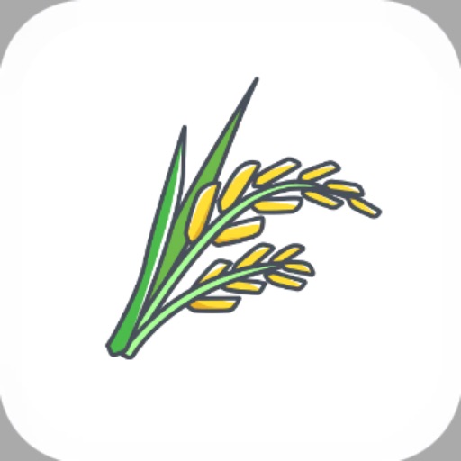 RicePlanting